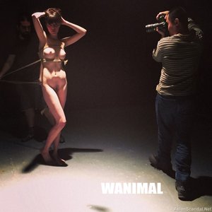 Nude Art Collection 2015 (Videos + Photos Beautiful Girl)