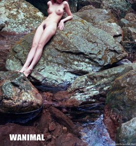 Nude Art Collection 2015 (Videos + Photos Beautiful Girl)