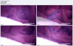 The best sex videos collection of Korea1818 (Vol 2)