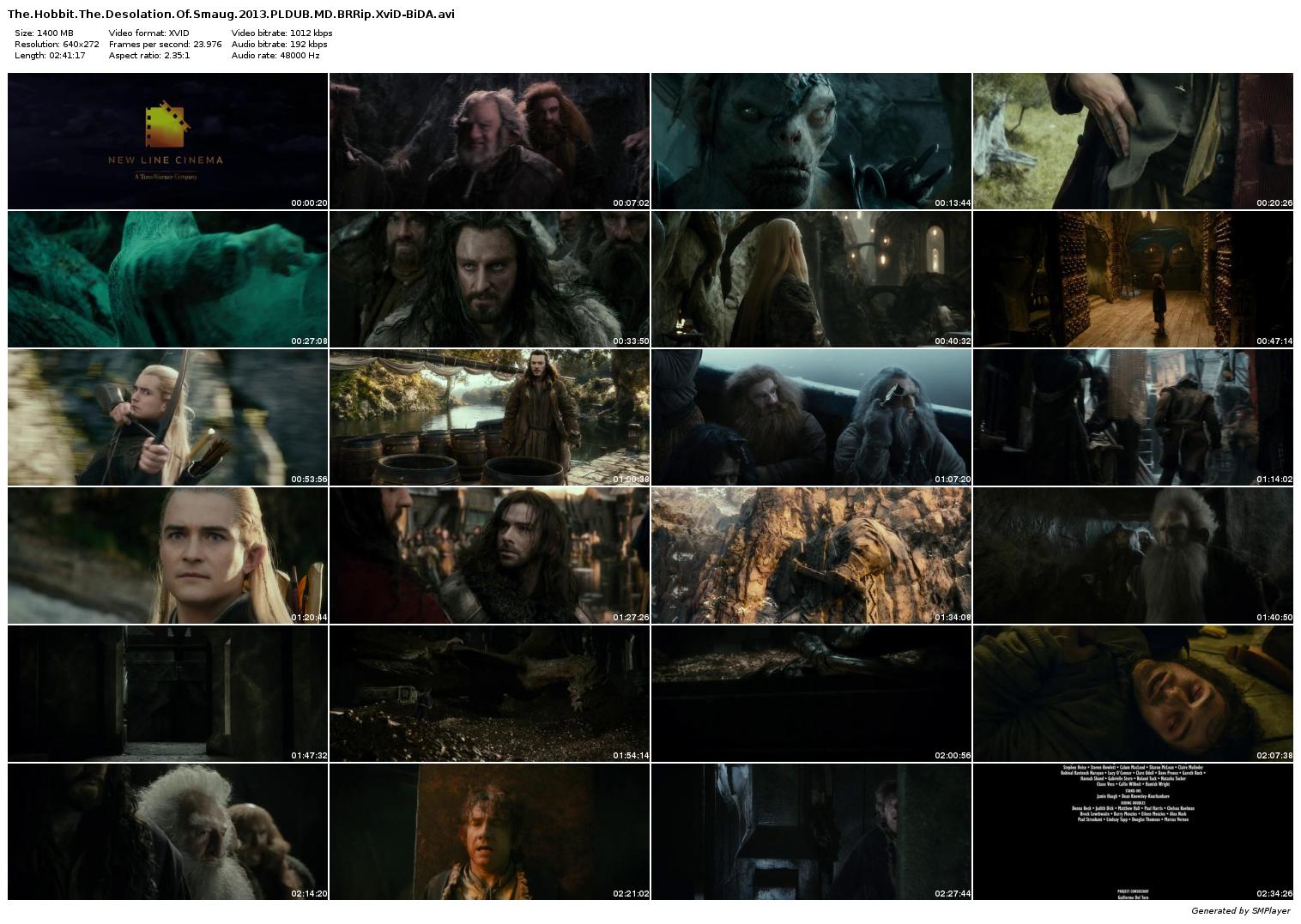 The.Hobbit.The.Desolation.Of.Smaug.2013.PLDUB.MD.BRRip.XviD-BiDA_preview.jpg