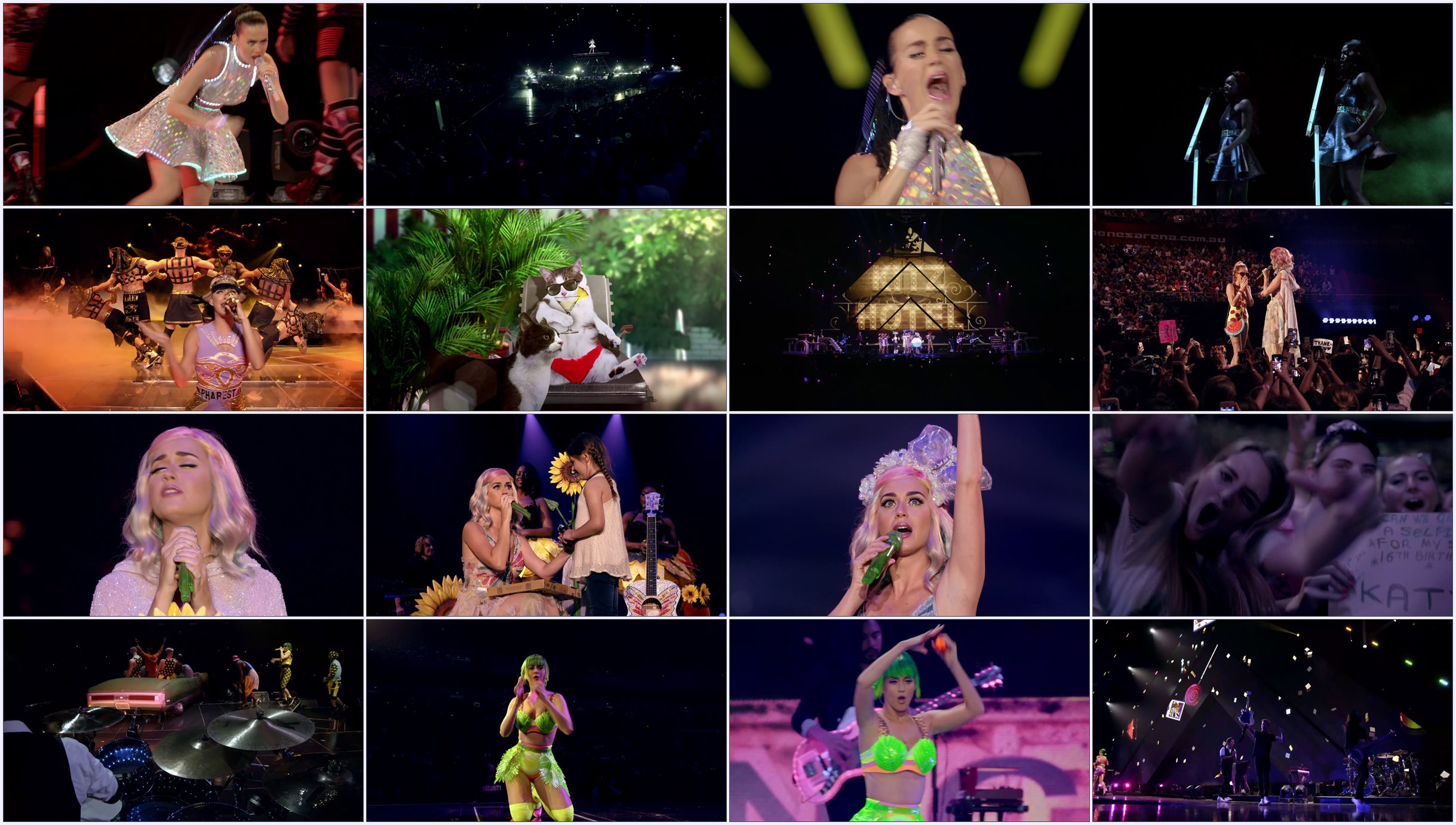 Katy Perry - The Prismatic World Tour Live.mkv.jpg